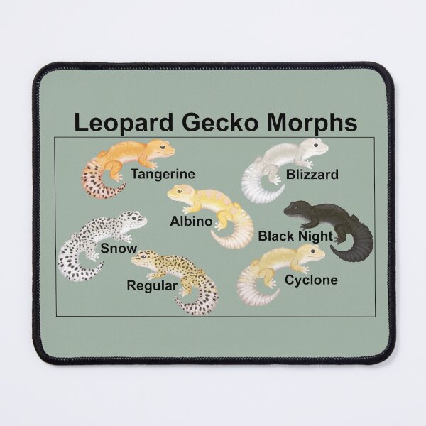 Item preview, Leopard gecko morph designed and sold by CordieDittus.