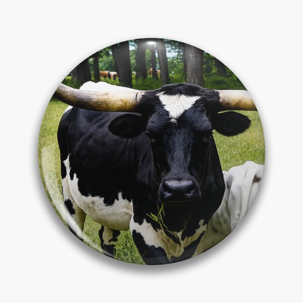 Item preview, Longhorn Majesty – Western Ranch Cattle Photography designed and sold by Spiraleffects.