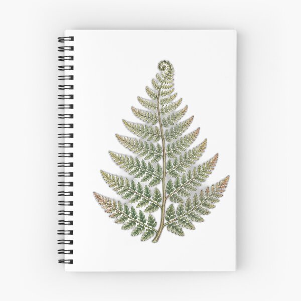 Item preview, A Fern Frond That Repeats Down to the Tip designed and sold by eignvalue.