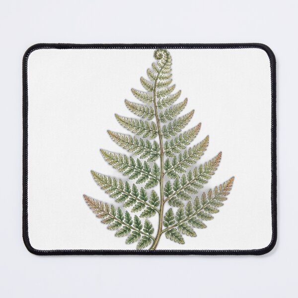 Item preview, A Fern Frond That Repeats Down to the Tip designed and sold by eignvalue.
