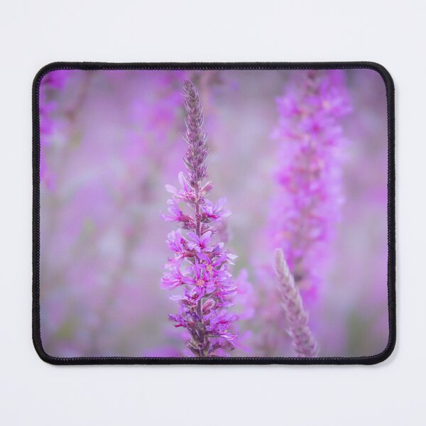 Item preview, Lavender Dreams designed and sold by Mutezone.