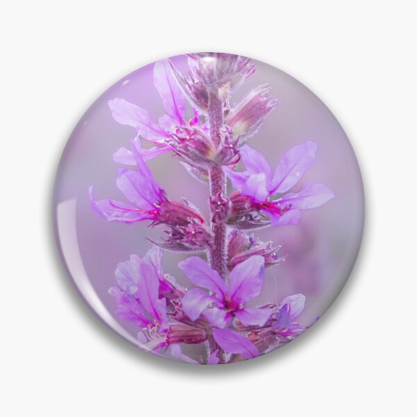 Item preview, Lavender Dreams designed and sold by Mutezone.