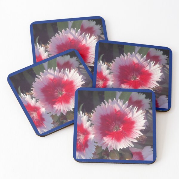 Item preview, Vibrant Bicolor Pink and Crimson Dianthus Flower designed and sold by greyforaday.