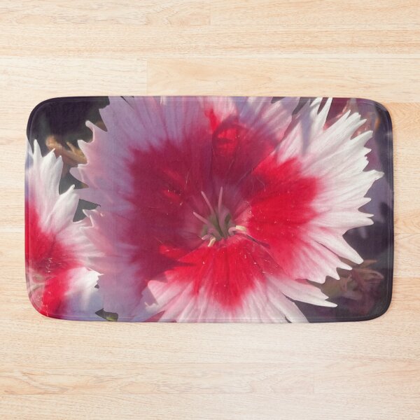 Item preview, Vibrant Bicolor Pink and Crimson Dianthus Flower designed and sold by greyforaday.