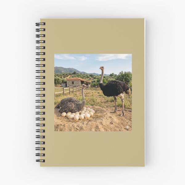 Item preview, Nature and Life: Ostriches in their Natural Habitat. designed and sold by JoyNest = "The nest of joy".
