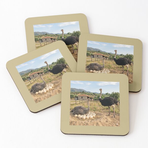 Item preview, Nature and Life: Ostriches in their Natural Habitat. designed and sold by JoyNest = "The nest of joy".