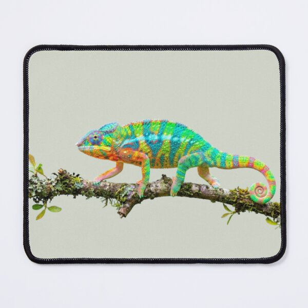 Item preview, Colorful Chameleon | Vibrant Reptile Nature Art designed and sold by harmzk90.