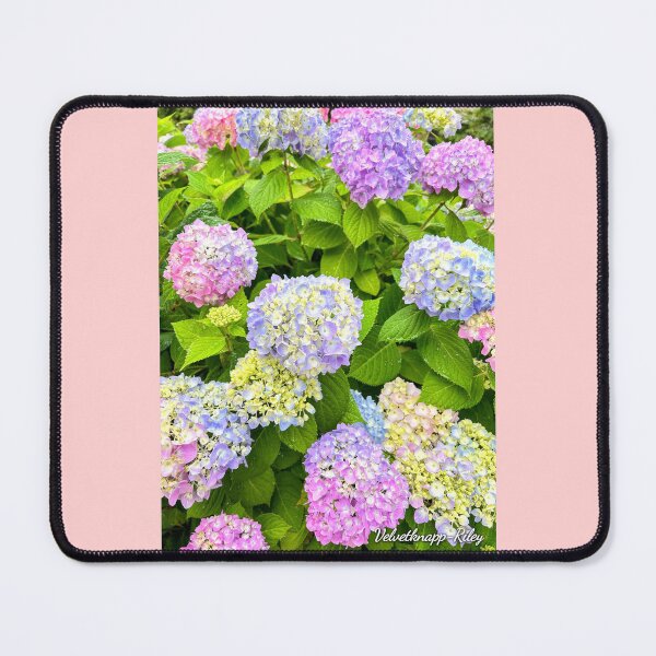 Item preview, PennyMac. pastels. designed and sold by TouchofVelvet.