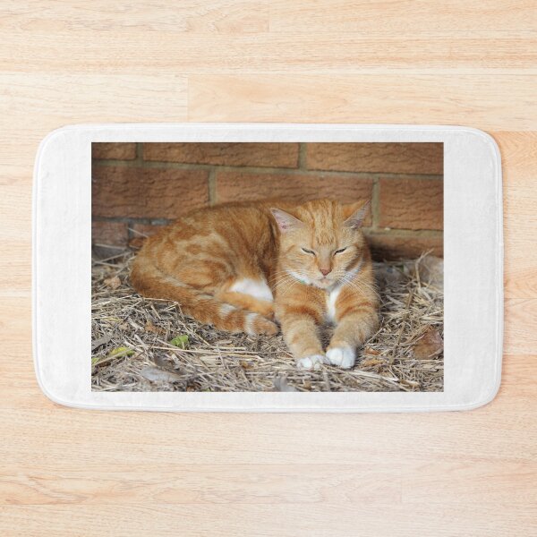 Item preview, Sleeping Ginger Cat On Straw designed and sold by 27Tammy27.