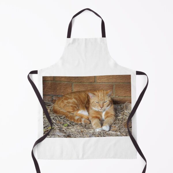 Item preview, Sleeping Ginger Cat On Straw designed and sold by 27Tammy27.