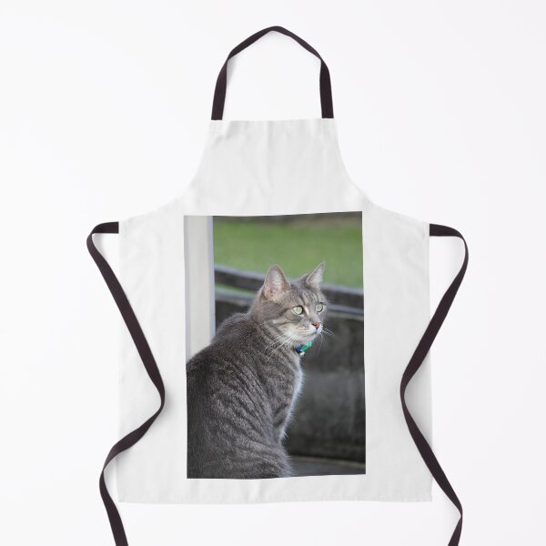 Item preview, Alert Grey Tabby Cat Profile Photograph designed and sold by 27Tammy27.