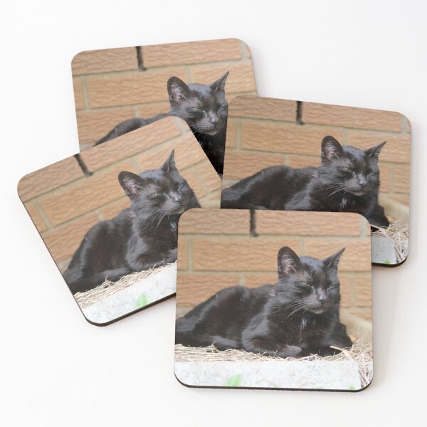 Item preview, Senior Black Cat Relaxing On Straw designed and sold by 27Tammy27.