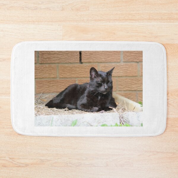 Item preview, Senior Black Cat Relaxing On Straw designed and sold by 27Tammy27.