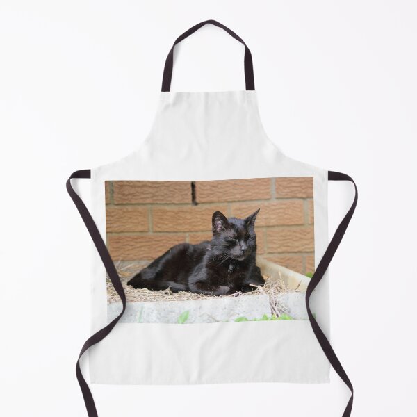 Item preview, Senior Black Cat Relaxing On Straw designed and sold by 27Tammy27.