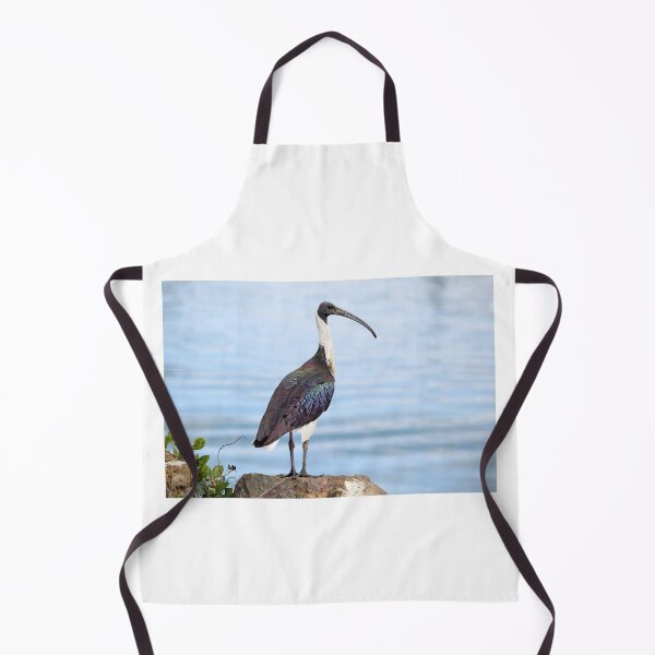 Item preview, Iridescent Straw-necked Ibis Waterside designed and sold by 27Tammy27.