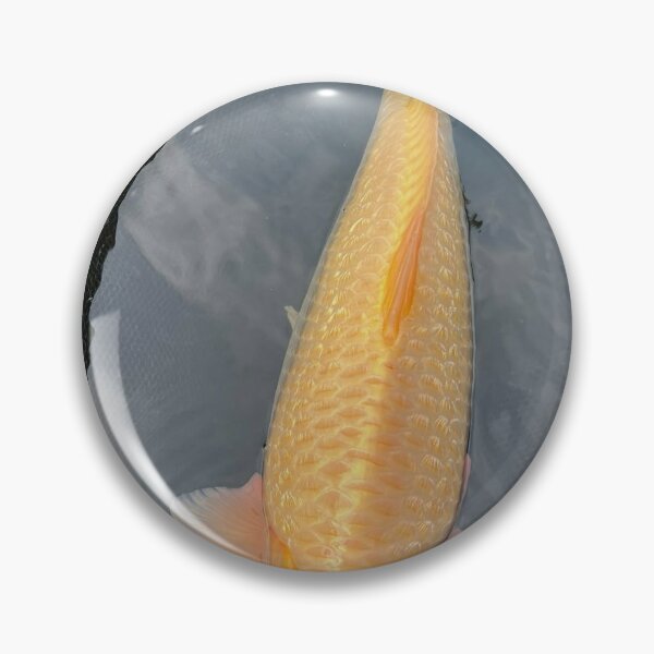 Item preview, Celestial Premier League aKoi Energy designed and sold by Jyosridingtrain.