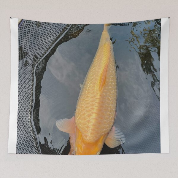 Item preview, Celestial Premier League aKoi Energy designed and sold by Jyosridingtrain.