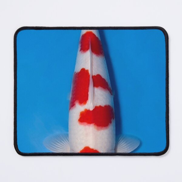 Item preview, Dreamy Rusteze Bumper Ointment bKoi Reflections designed and sold by Jyosridingtrain.