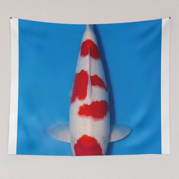 Item preview, Dreamy Rusteze Bumper Ointment bKoi Reflections designed and sold by Jyosridingtrain.