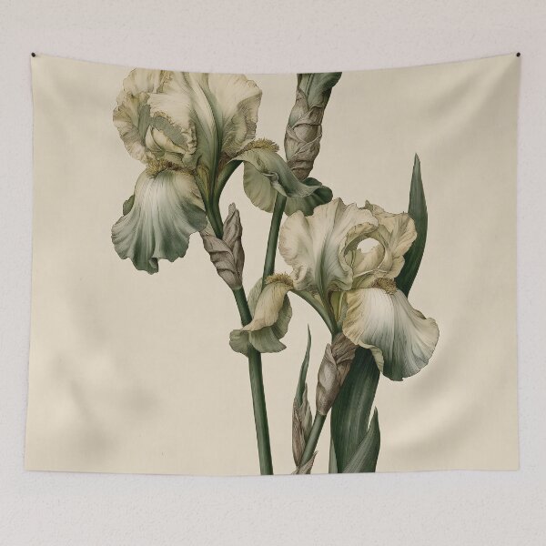 Item preview, Classical Beared Iris Botanical Drawing designed and sold by HortusPress.