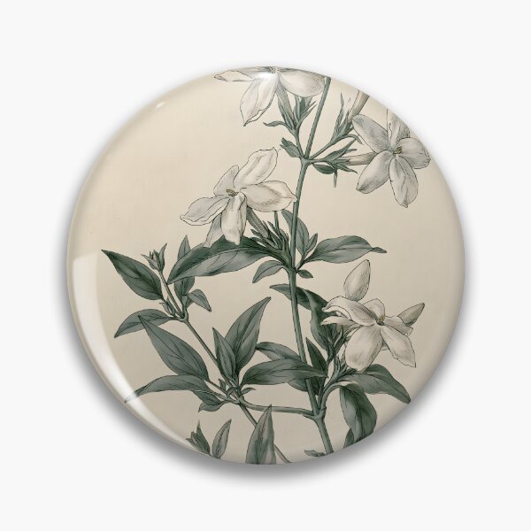 Item preview, Jasmine Vintage Nature Study designed and sold by HortusPress.