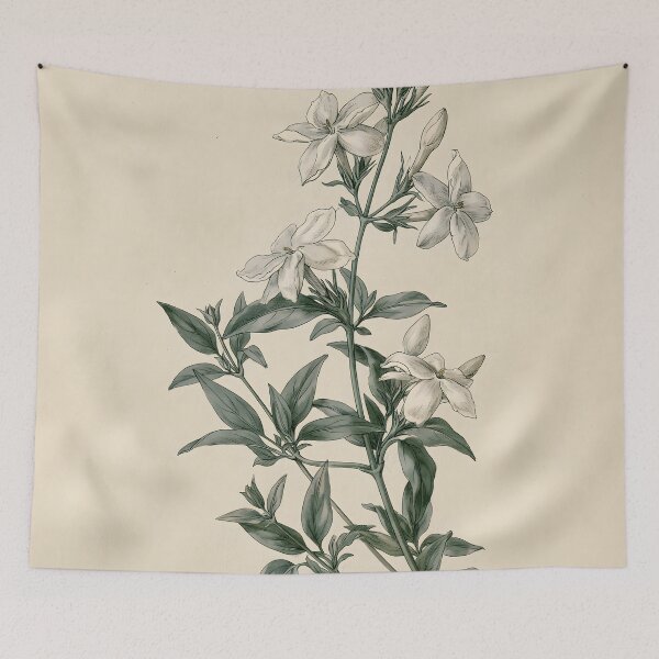 Item preview, Jasmine Vintage Nature Study designed and sold by HortusPress.