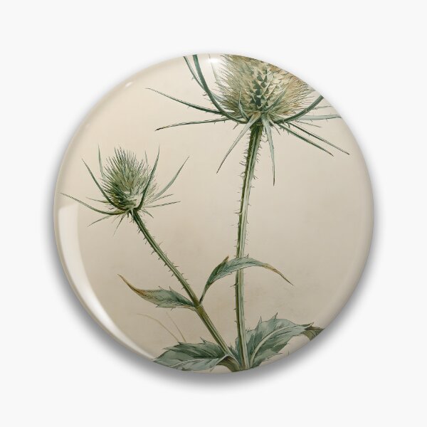 Item preview, Antique Teasel Botanical Sketch designed and sold by HortusPress.