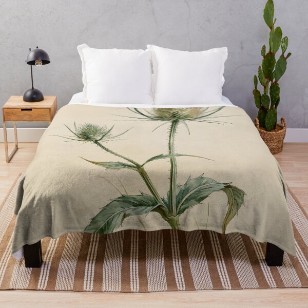 Item preview, Antique Teasel Botanical Sketch designed and sold by HortusPress.