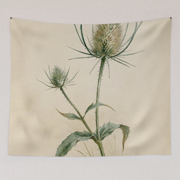 Item preview, Antique Teasel Botanical Sketch designed and sold by HortusPress.