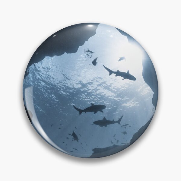 Item preview, Shark Cave designed and sold by LIL GHOSTY XP.