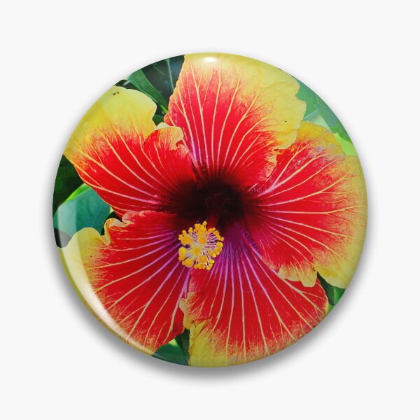 Item preview, Big Red and Yellow Hibiscus in the Bushes designed and sold by jaynerushton.