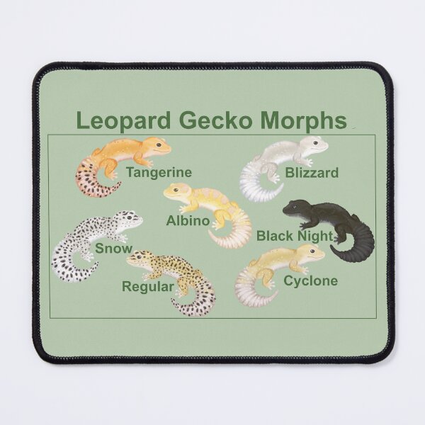 Item preview, Leopard gecko morphs designed and sold by CordieDittus.