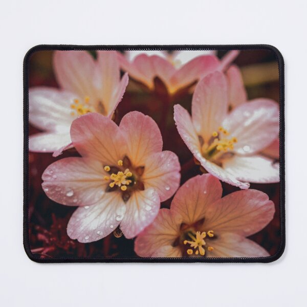 Item preview, Dew-Kissed Blossoms designed and sold by WitchyBotanicaArt.