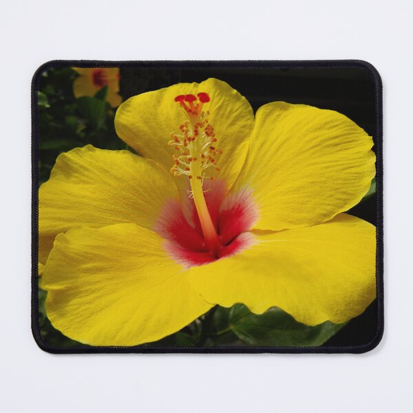Item preview, YELLOW HIBISCUS designed and sold by AussieAl.