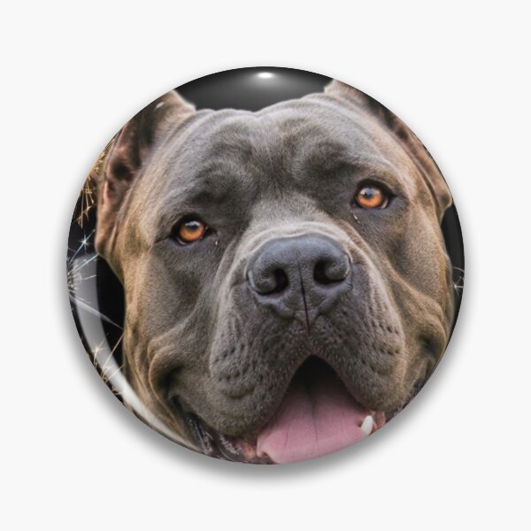 Item preview, Cane Corso T Shirt designed and sold by KHLN.