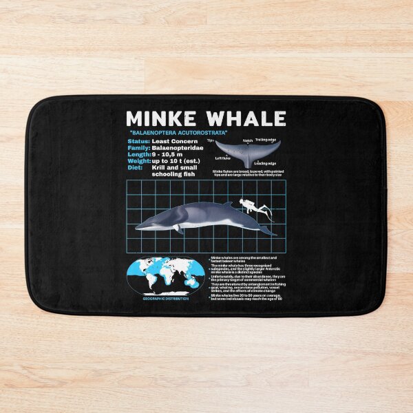 Item preview, Minke whale data sheet designed and sold by NicGrayGraphic.