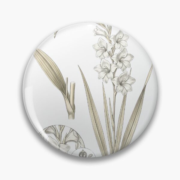 Item preview, Vintage White Gladiolus - Elegant Botanical Sword Lily Art designed and sold by Atlasoloji.