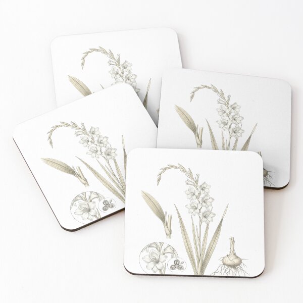 Item preview, Vintage White Gladiolus - Elegant Botanical Sword Lily Art designed and sold by Atlasoloji.