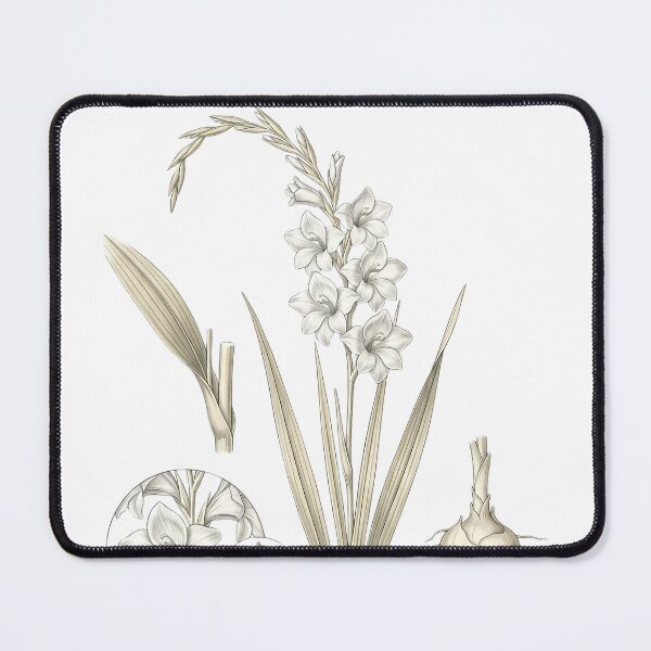 Item preview, Vintage White Gladiolus - Elegant Botanical Sword Lily Art designed and sold by Atlasoloji.