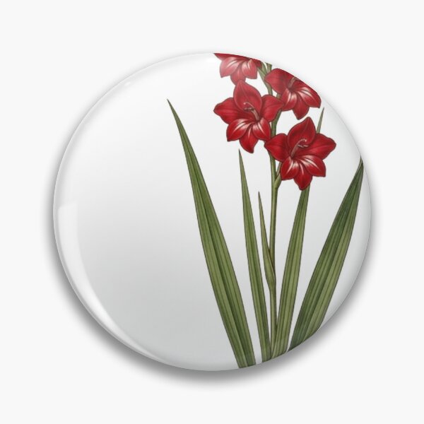 Item preview, Vintage Red Gladiolus - Botanical Sword Lily  Art designed and sold by Atlasoloji.