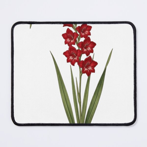 Item preview, Vintage Red Gladiolus - Botanical Sword Lily Art designed and sold by Atlasoloji.