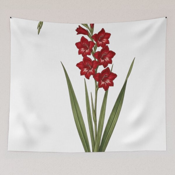 Item preview, Vintage Red Gladiolus - Botanical Sword Lily  Art designed and sold by Atlasoloji.