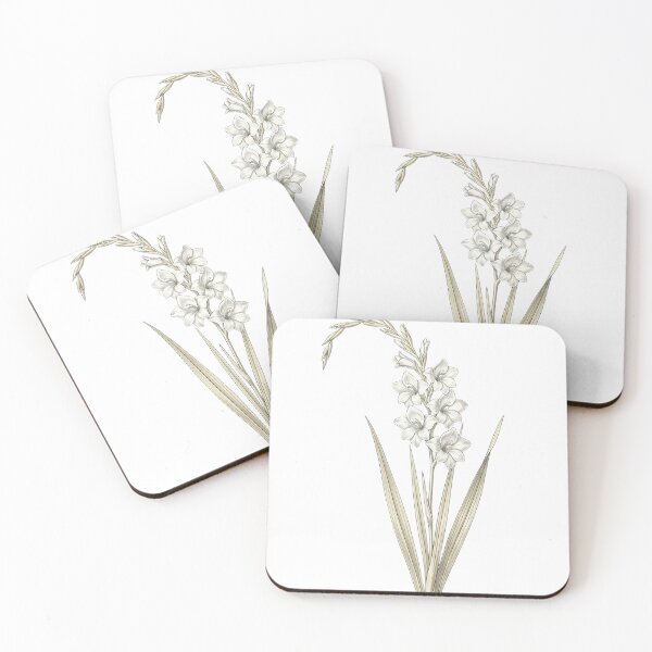 Item preview, Vintage White Gladiolus - Elegant Botanical Sword Lily Art Png designed and sold by Atlasoloji.