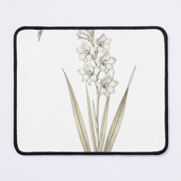 Item preview, Vintage White Gladiolus - Elegant Botanical Sword Lily Art Png designed and sold by Atlasoloji.
