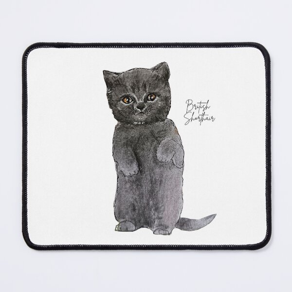 Item preview, British Shorthair Kitten designed and sold by Les illustrations d'Adėle L..