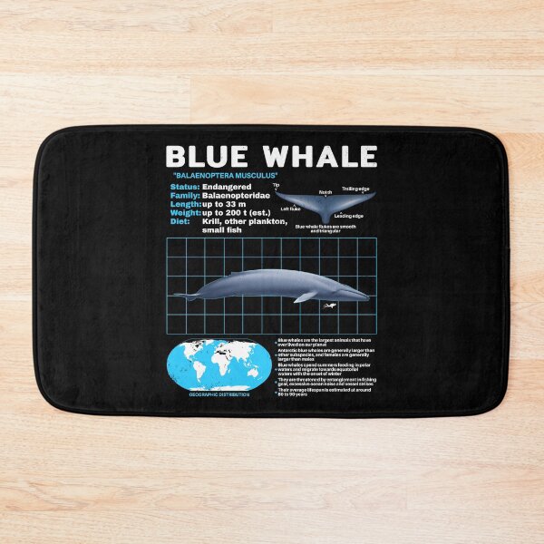 Item preview, Blue Whale Fact Sheet designed and sold by NicGrayGraphic.