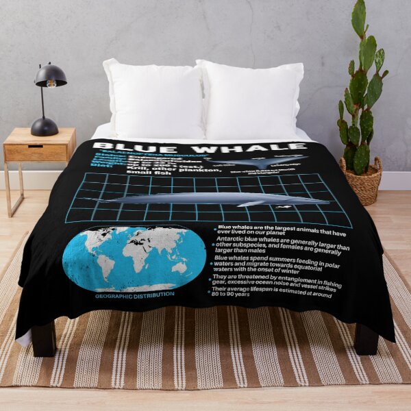 Item preview, Blue Whale Fact Sheet designed and sold by NicGrayGraphic.