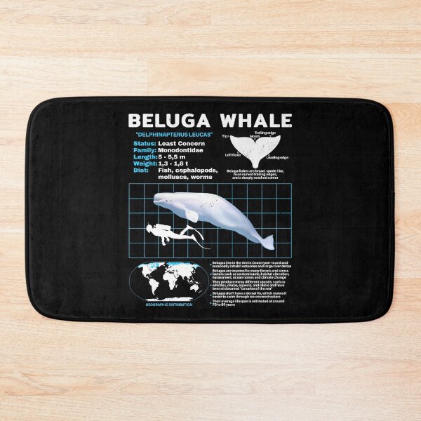 Item preview, Beluga White Whale Fact Sheet designed and sold by NicGrayGraphic.