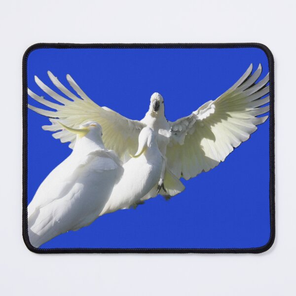Item preview, AVIAN GURU designed and sold by Annalucia.