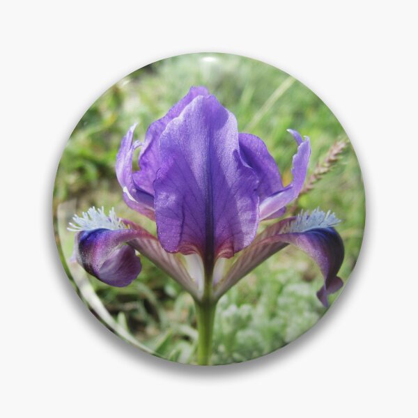 Item preview, Wild Iris designed and sold by Alexander Krishchyunas.